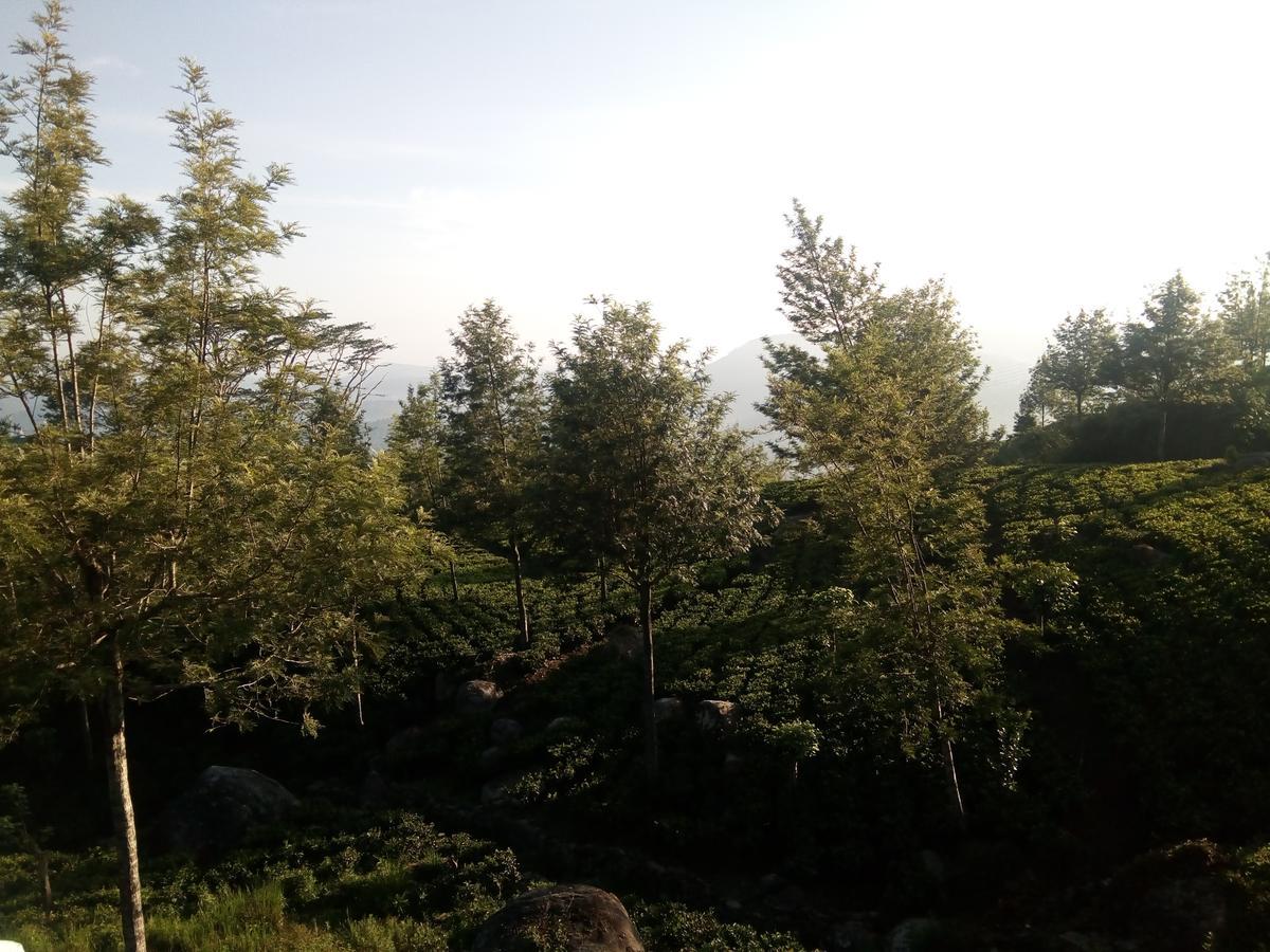 Adisham Village Home Beragala エクステリア 写真